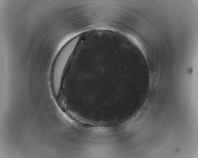 X0000090711141200708101500