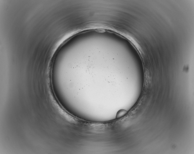 X0000090711142200708101500