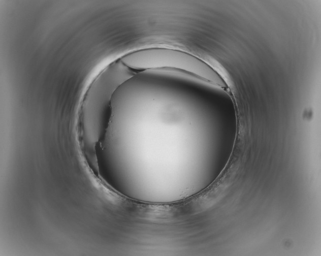 X0000090711144200708101500