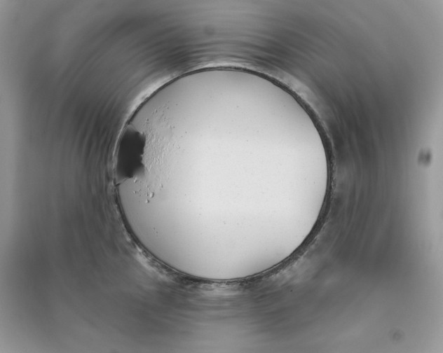 X0000090711145200708101500