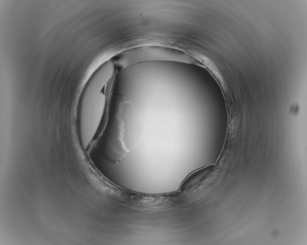 X0000090711146200708101500