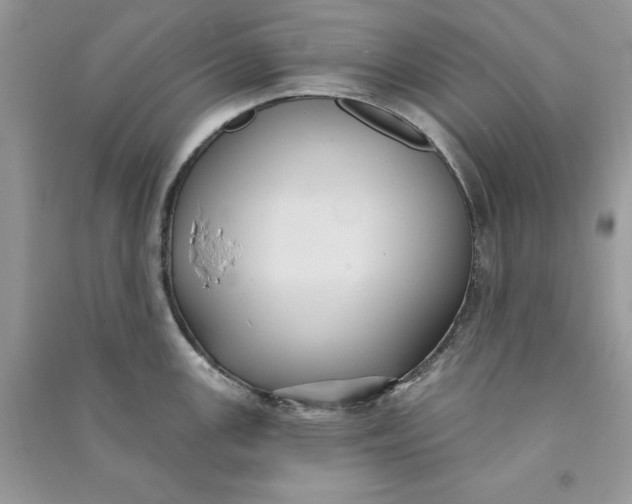 X0000090711147200708101500