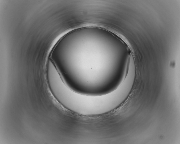 X0000090711148200708101500