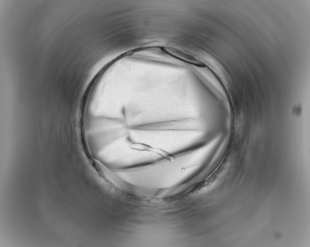 X0000090711149200708101500