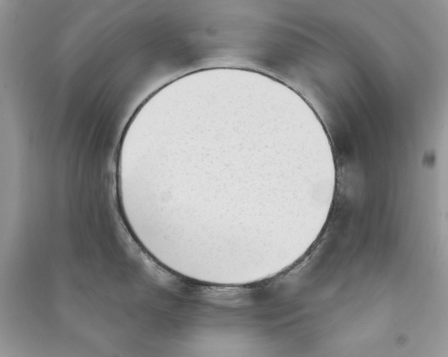 X0000090711150200708101500