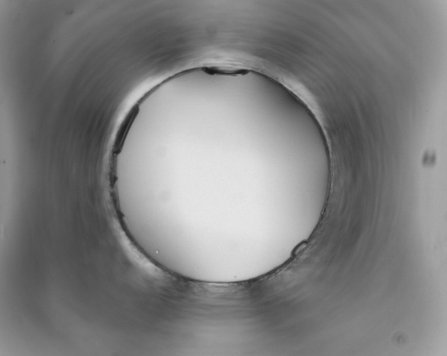 X0000090711152200708101500