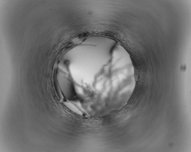 X0000090711153200708101459