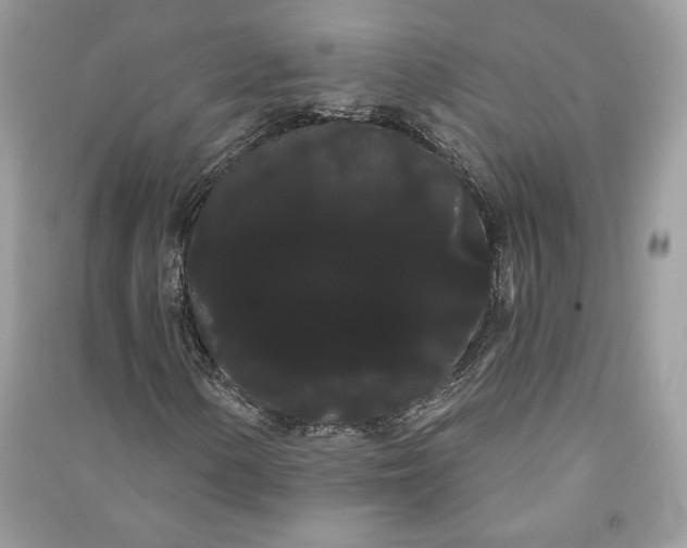 X0000090711154200708101459