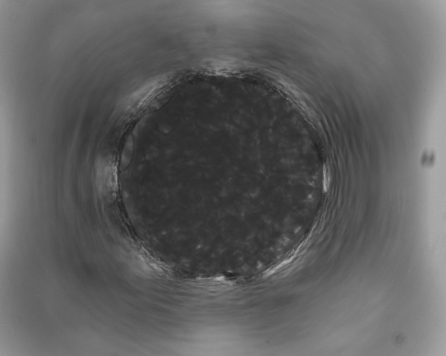 X0000090711155200708101459