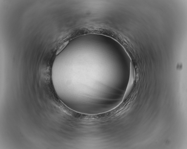 X0000090711156200708101459