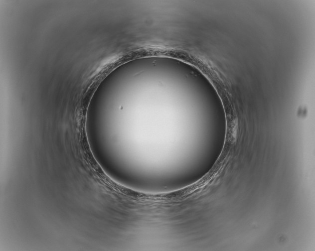 X0000090711157200708101459