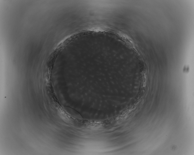 X0000090711158200708101459