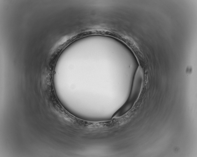 X0000090711159200708101459