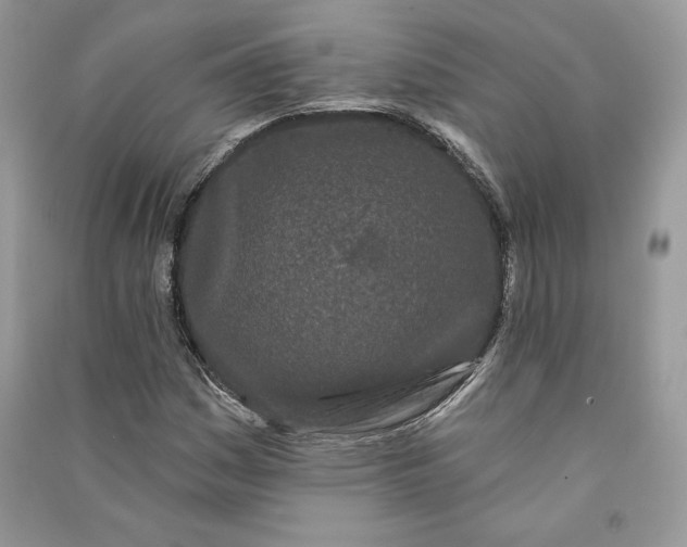 X0000090711161200708101459