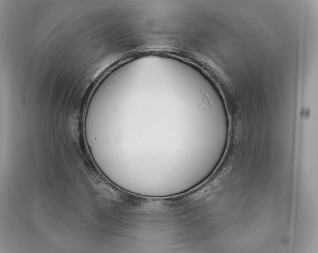 X0000090711162200708101459