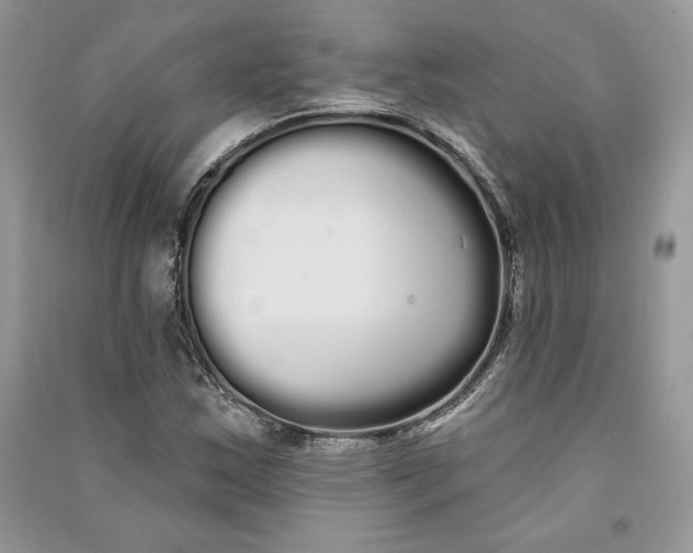 X0000090711163200708101459