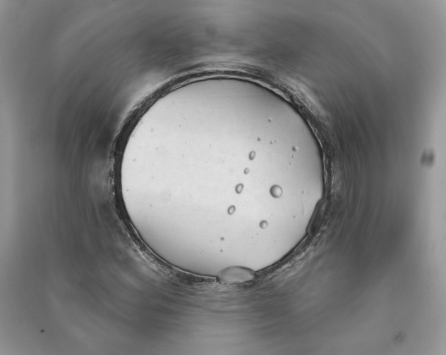 X0000090711164200708101459