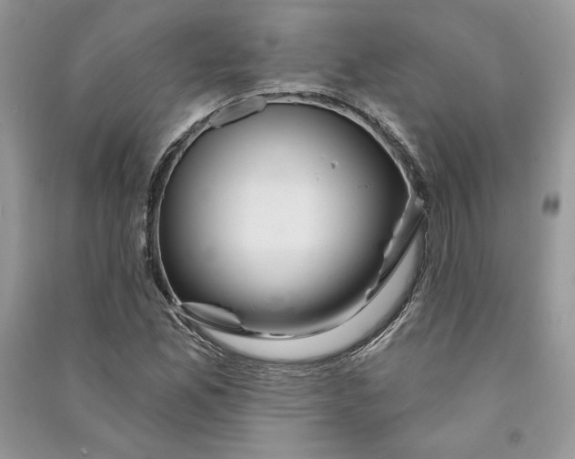 X0000090711165200708101459