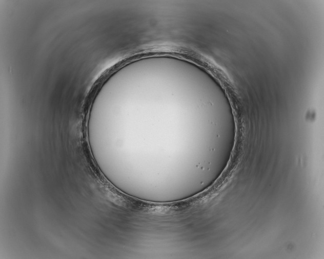 X0000090711166200708101459