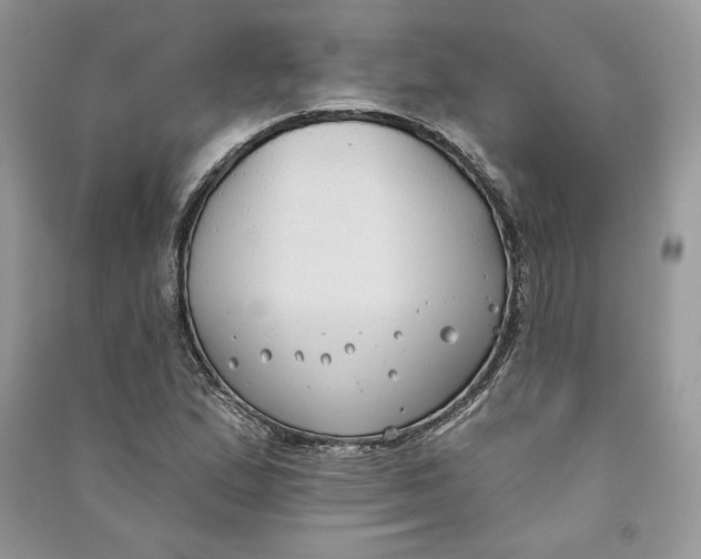 X0000090711167200708101459