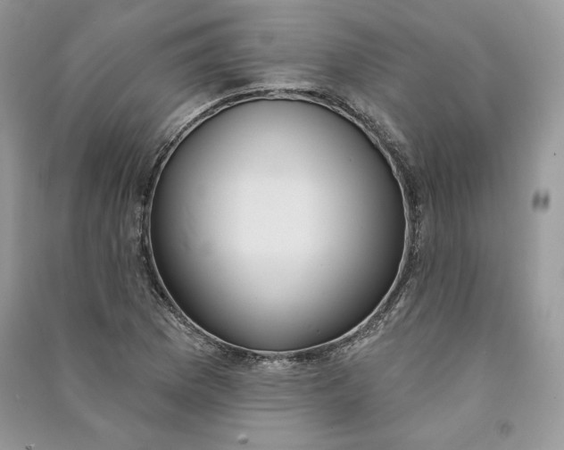 X0000090711169200708101459