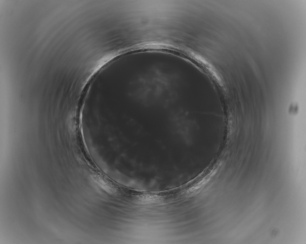 X0000090711170200708101459