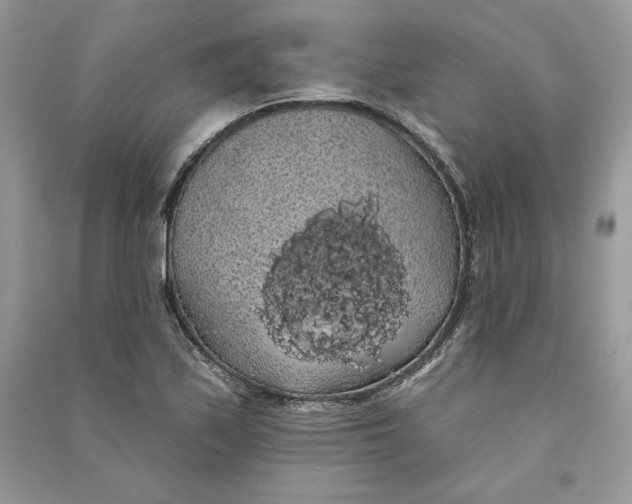 X0000090711171200708101459