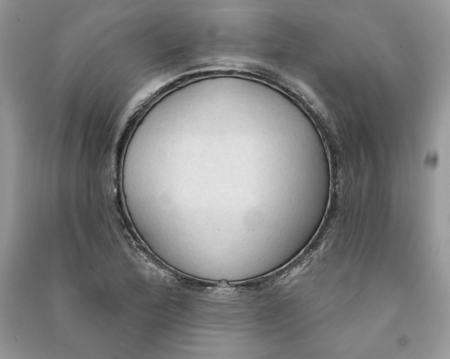 X0000090711172200708101459