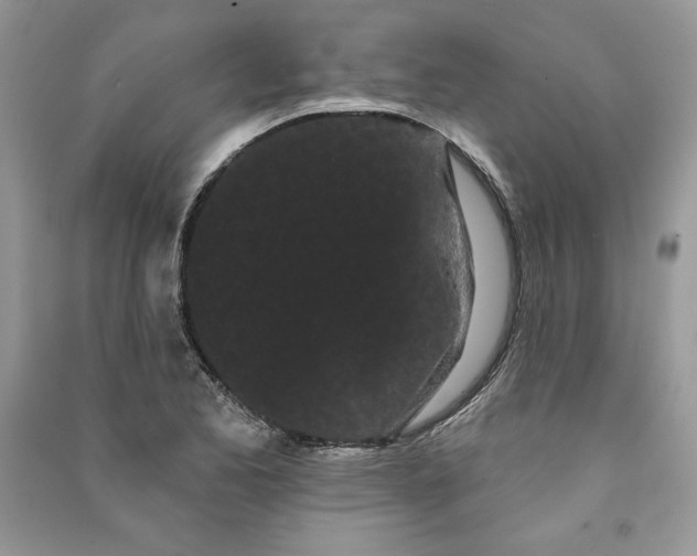 X0000090711173200708101459