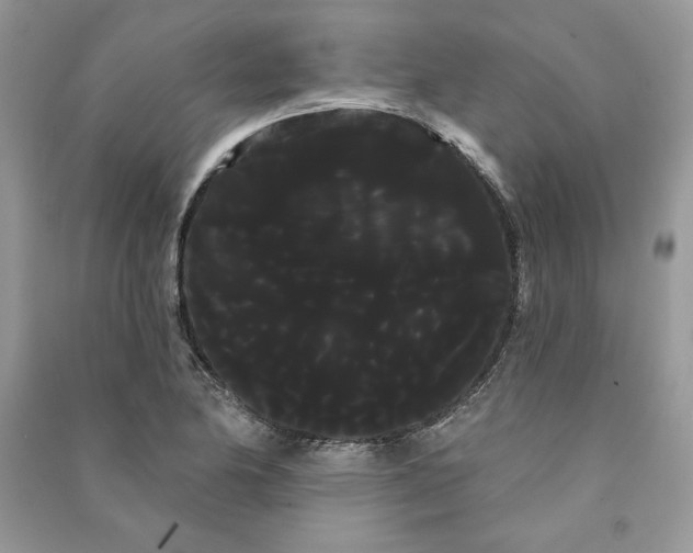 X0000090711174200708101459