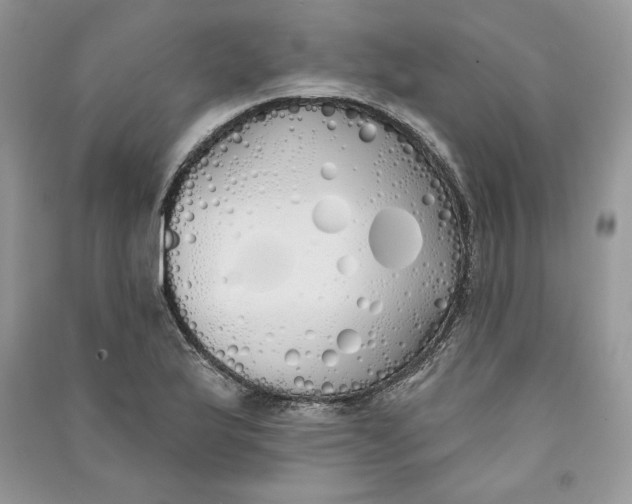 X0000090711175200708101459