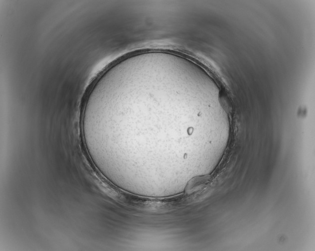 X0000090711176200708101459