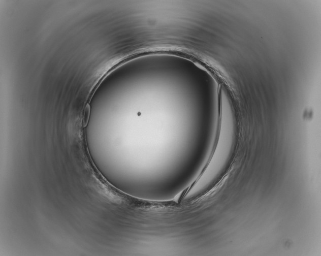 X0000090711177200708101459