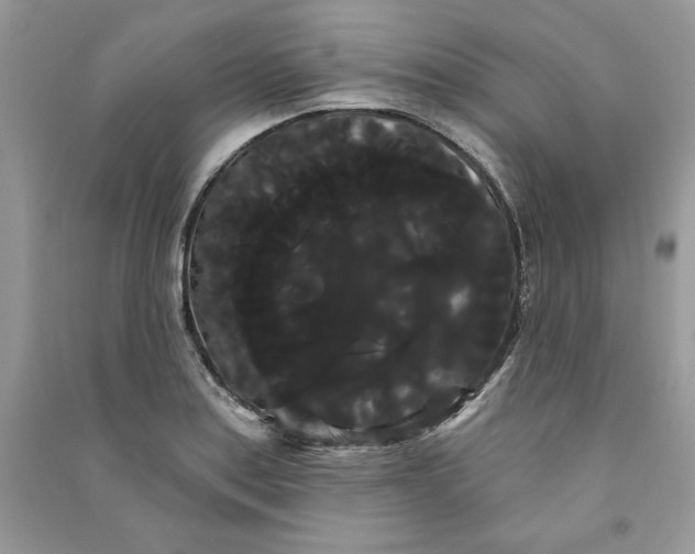 X0000090711179200708101459