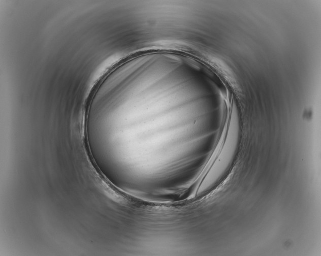 X0000090711180200708101459