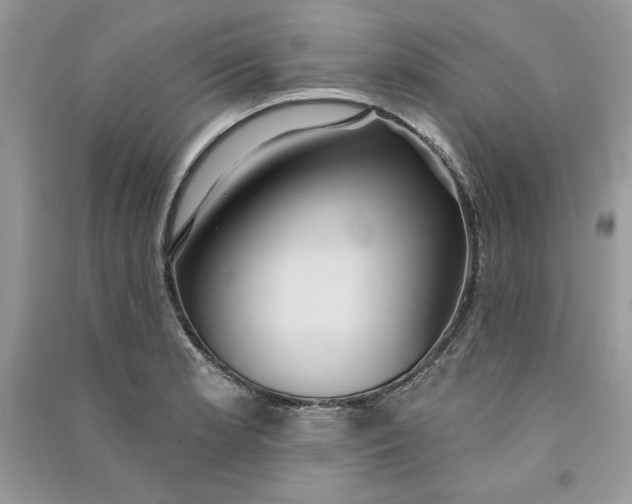 X0000090711181200708101459