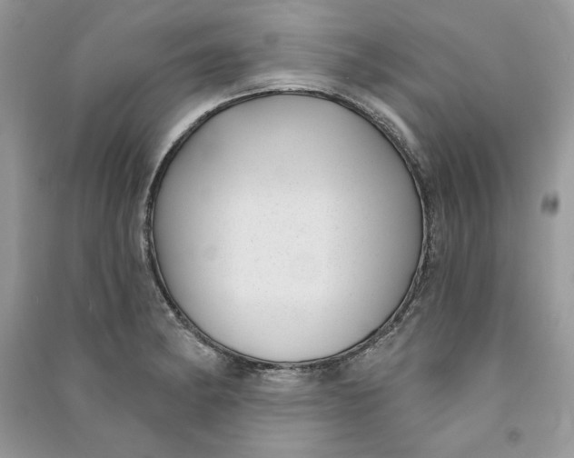 X0000090711182200708101459