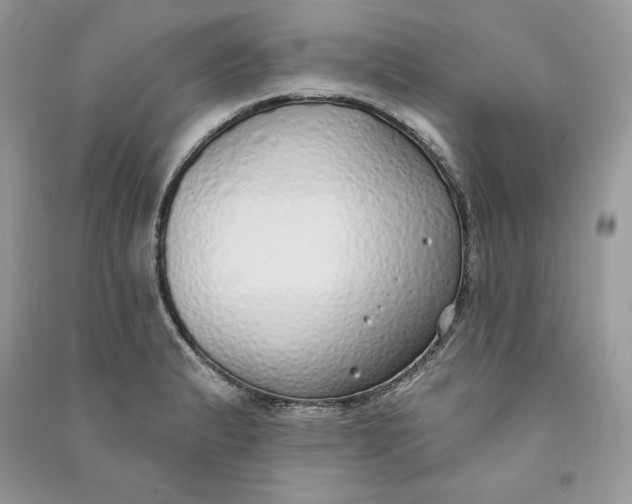 X0000090711183200708101459