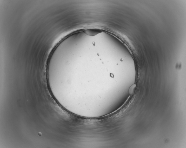 X0000090711184200708101459