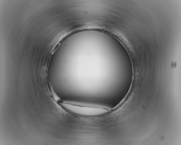 X0000090711185200708101459