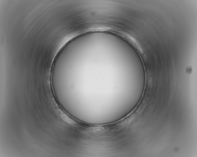 X0000090711186200708101459