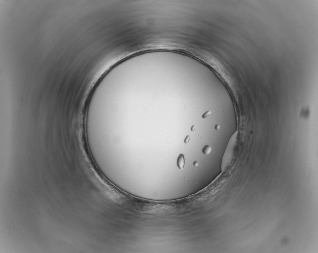 X0000090711187200708101459