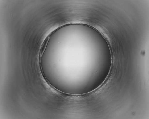 X0000090711189200708101459