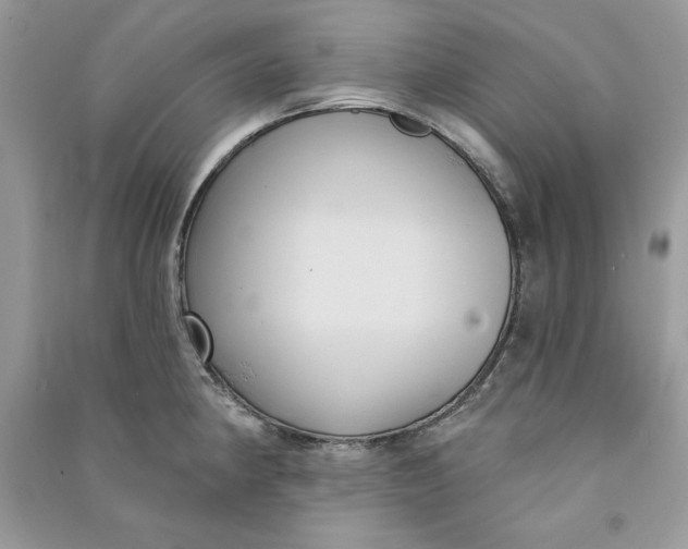 X0000090711190200708101458