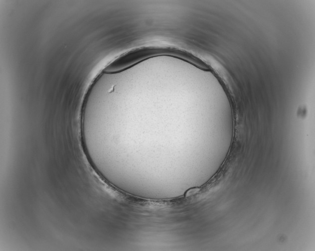 X0000090711191200708101458