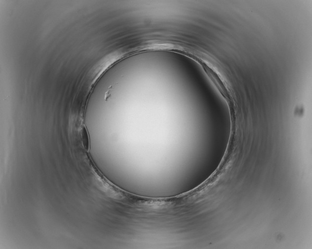 X0000090711193200708101458