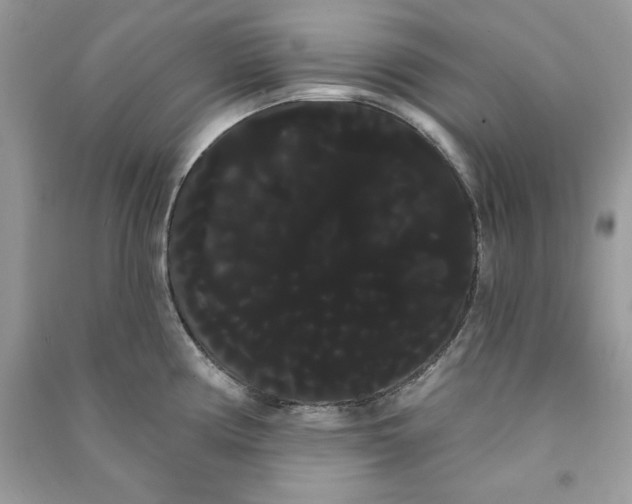 X0000090711194200708101458