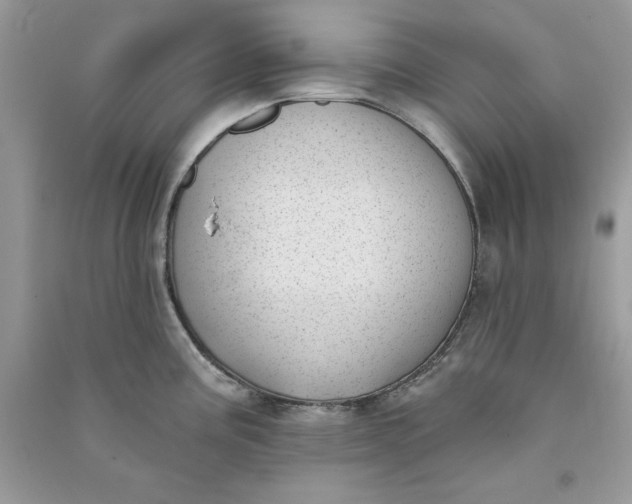 X0000090711195200708101458