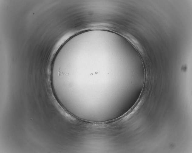 X0000090711196200708101458