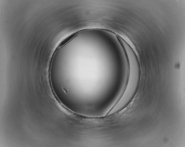 X0000090711197200708101458